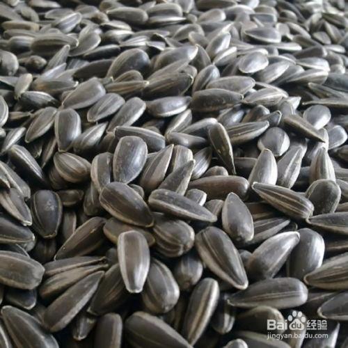 吃瓜指的是吗瓜子,揭秘吗瓜子的魅力与流行文化