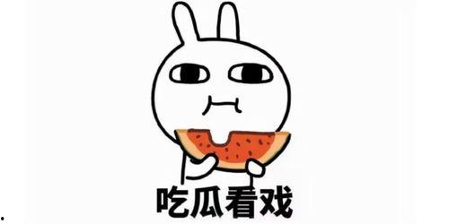 带你吃瓜讲解驯服幼崽,带你探索与成长的心灵之旅